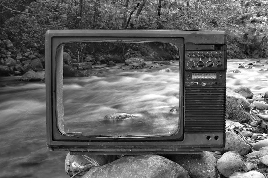 jackson tn tv guide