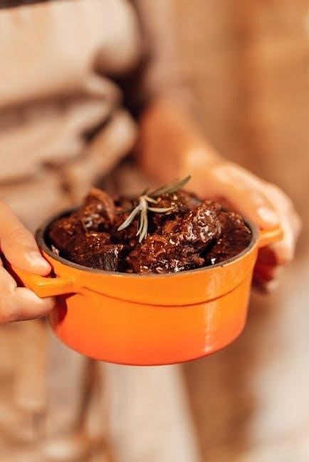 crock pot slow cooker instructions