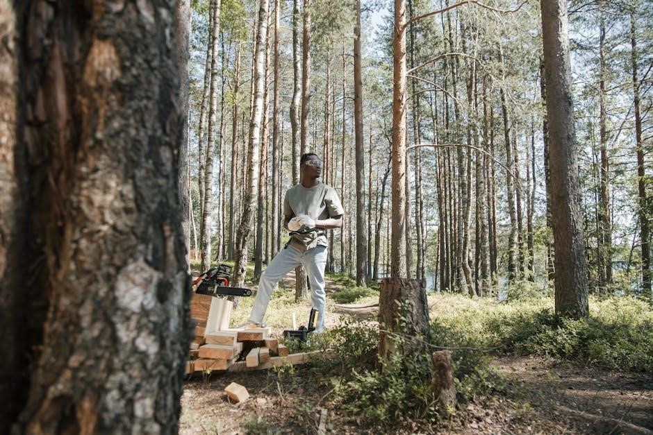 earthworks digipro chainsaw manual